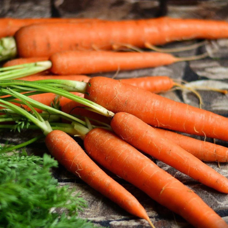 Organic Carrots