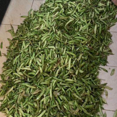 Organic  Snow Peas