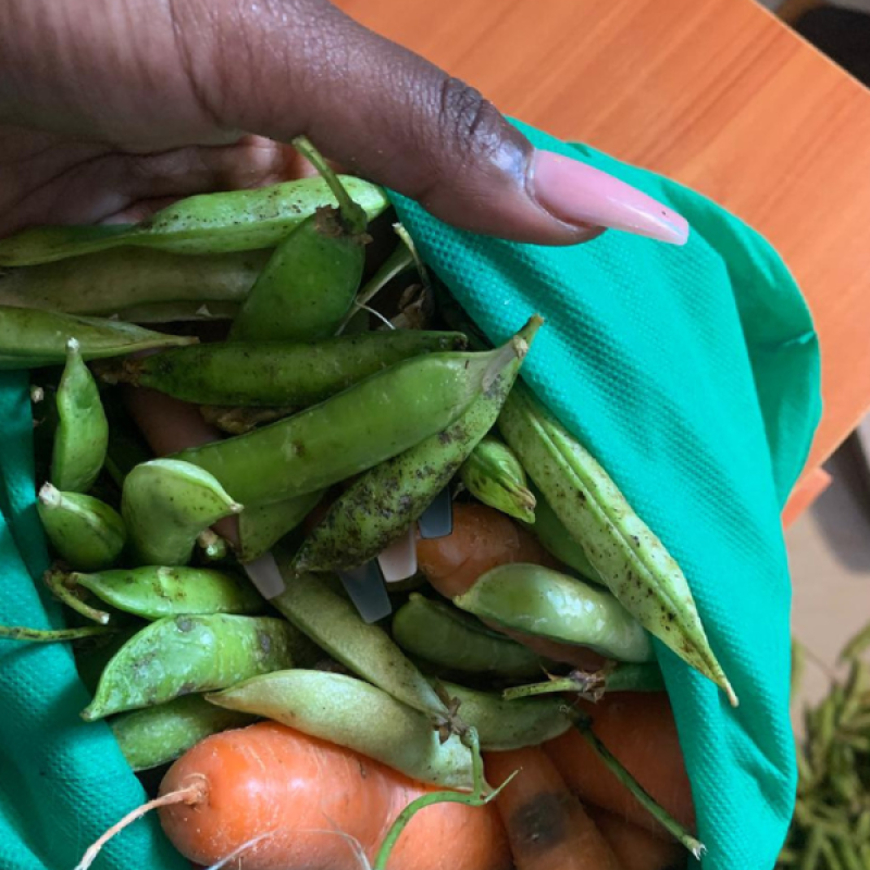 Organic  Snow Peas